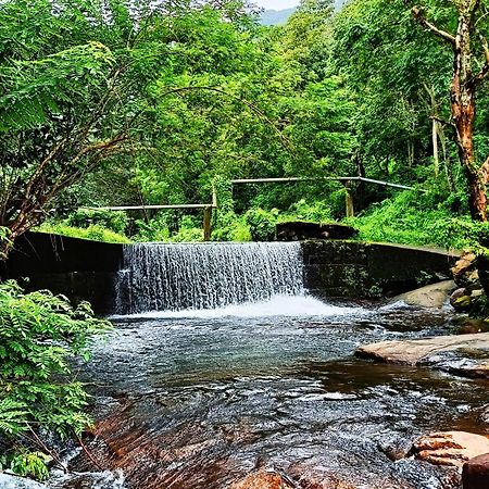 Mj Royal Villas Athirapilly Athirappilly Dış mekan fotoğraf