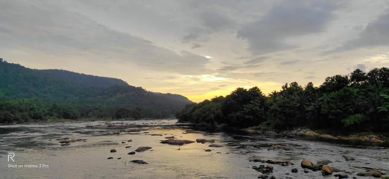 Mj Royal Villas Athirapilly Athirappilly Dış mekan fotoğraf
