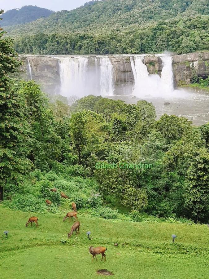 Mj Royal Villas Athirapilly Athirappilly Dış mekan fotoğraf