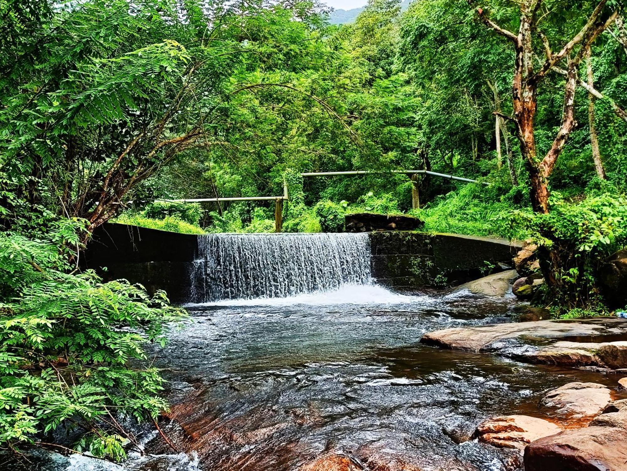 Mj Royal Villas Athirapilly Athirappilly Dış mekan fotoğraf