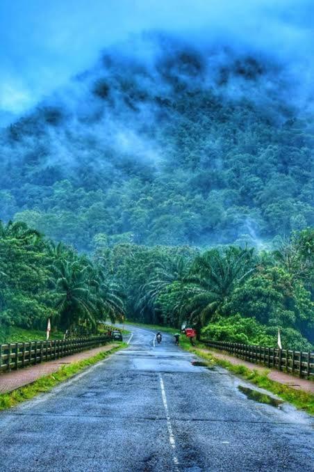 Mj Royal Villas Athirapilly Athirappilly Dış mekan fotoğraf